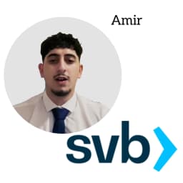 Amir Nouroozi - Analyst @ Silicon Valley Bank